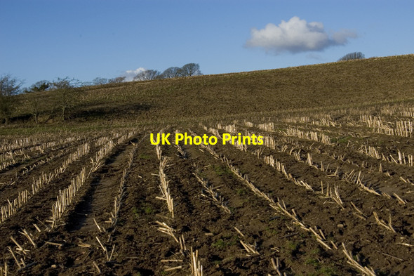 Photo 6"x4" Stubble field near Walmsley Bridge Brook Bottom\/SD5442 c2010
