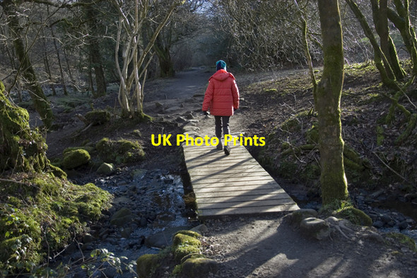 Photo 6"x4" Footbridge on path to Brock Bottom Brook Bottom\/SD5442 c2010