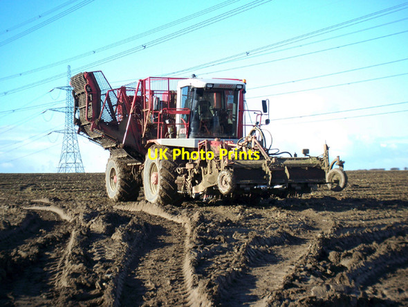 Photo 6"x4" Beeteater Harvester on Horkstow Wolds Horkstow Wolds c2010