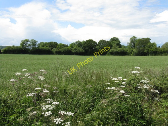 Photo 6"x4" Field By The A417 Green Lane\/SO6245 c2009