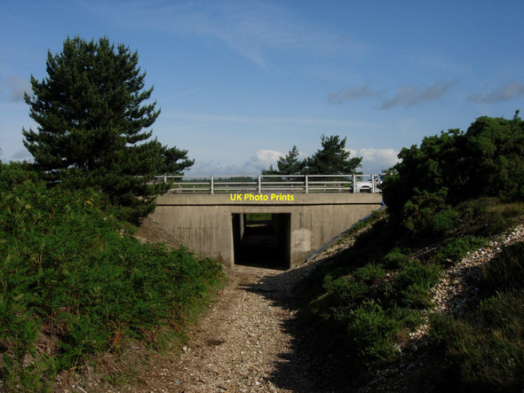 Photo 6"x4" A31 underpass Linwood\/SU1809 c2006