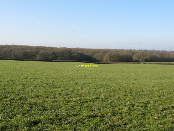 Photo 6"x4" Cottage Wood from north of St Helena Farm Wivelsfield Green c2010