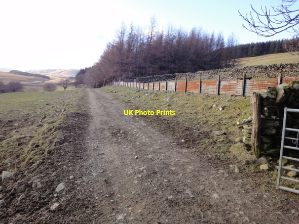 Photo 6"x4" Track west from Kirkconnell farmyard Kirkconnell Burn c2010