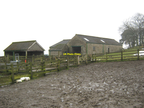 Photo 6"x4" Middle Fawnlees near Wolsingham Upper Town\/NZ0737 c2010