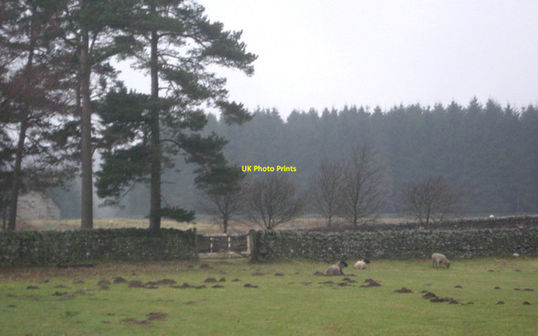 Photo 6"x4" Field gate to High Jofless Farm lane Upper Town\/NZ0737 c2010