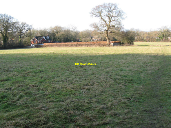 Photo 6"x4" Beech hedging around property at Wivelsfield Wivelsfield c2010