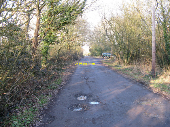 Photo 6"x4" Sussex Border Path north from Middleton Common Lane Plumpton Green c2010