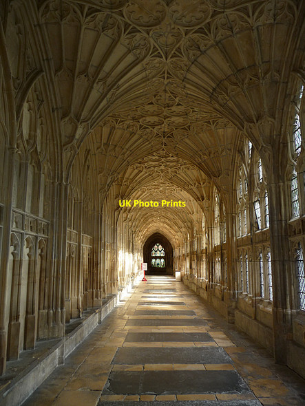 Photo 6"x4" Cloister, Gloucester Cathedral Gloucester c2009