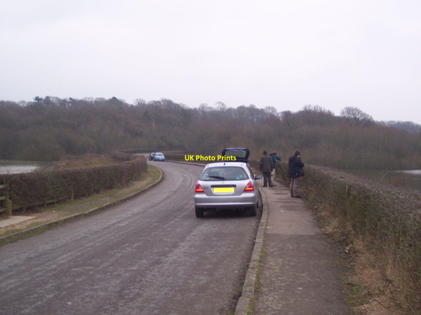 Photo 6"x4" Twitchers on Winkhurst Green Road Winkhurst Green c2010