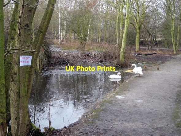 Photo 6"x4" Winter - Stanley Marsh Nature Reserve (3) Stanley\/SE3424 c2010