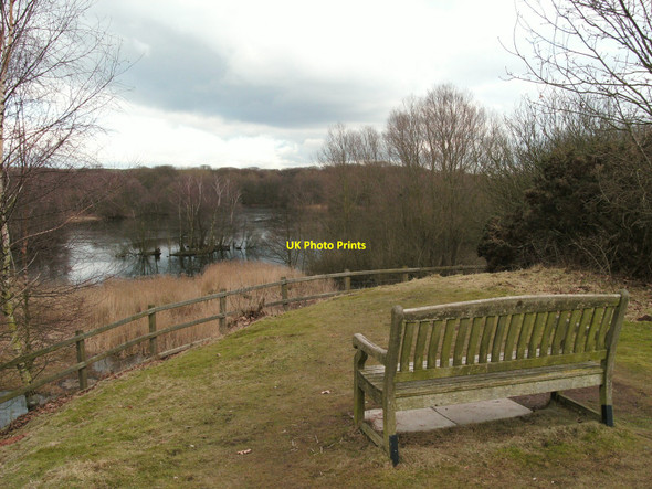 Photo 6"x4" View point at Moore Nature Reserve Moore c2010
