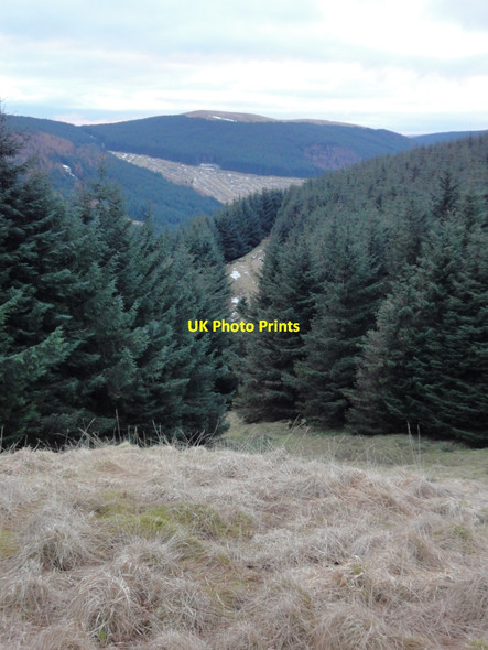 Photo 6"x4" Path down from Croglin, Shiel Cleuch and Mullwhanny behind Croglin Craig c2010