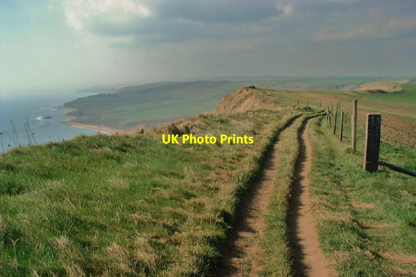 Photo 6"x4" White Nothe: Coast Path Osmington Mills c2005
