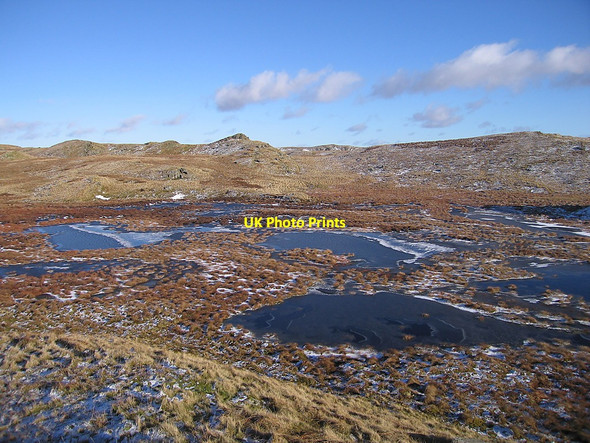 Photo 6"x4" Bog at the head of the Nant Hafod-frith Bryn Eithinog\/SN7866 c2010