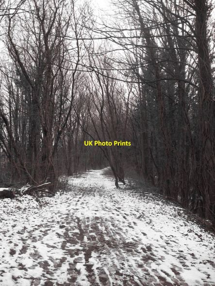 Photo 6"x4" Old Railway after the Snow Caerleon or Caerllion c2009