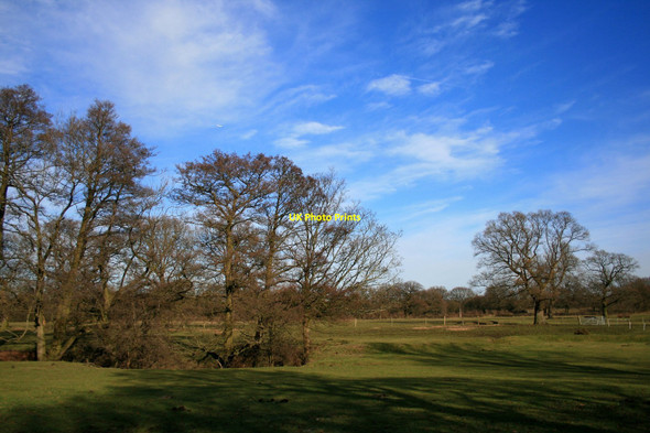 Photo 6"x4" Near Skellorn Green Booth Green c2010