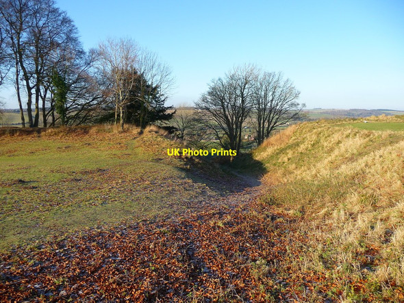 Photo 6"x4" Ford - Castle Entrance Salisbury c2010