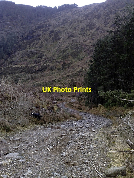 Photo 6"x4" Steep Forest Track in Rhonadale Bridgend\/NR7937 c2010