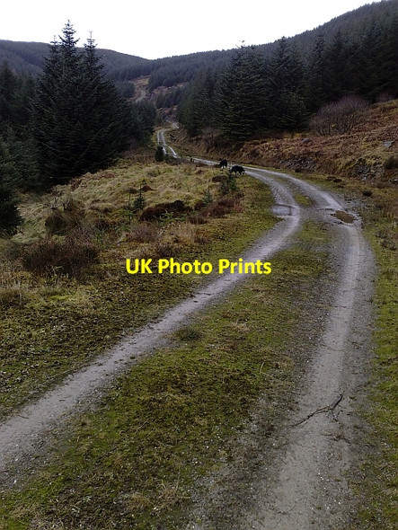 Photo 6"x4" Heading Towards the Top of Rhonadale Bridgend\/NR7937 c2010