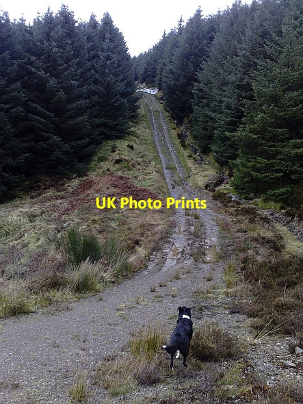 Photo 6"x4" The Way to go. Bridgend\/NR7937 c2010