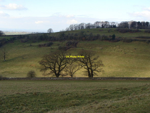 Photo 6"x4" The side of Hinton Hill from Dyrham Park Hinton\/ST7376 c2010