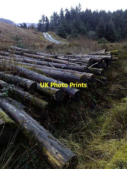 Photo 6"x4" Left to Rot (2) Bridgend\/NR7937 c2010