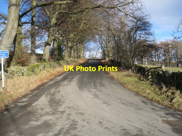 Photo 6"x4" Road to Coldberry Aukside c2010