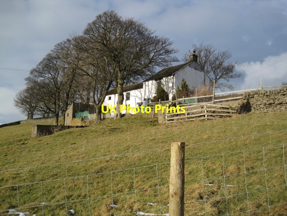 Photo 6"x4" Farm above Newbiggin Newbiggin\/NY9127 c2010