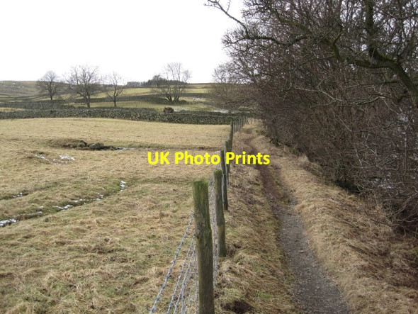 Photo 6"x4" Pennine Way near Newbiggin Bowlees\/NY9028 c2010