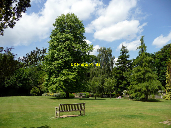 Photo 6"x4" Rylstone Park, Shanklin, Isle of Wight Shanklin c2009