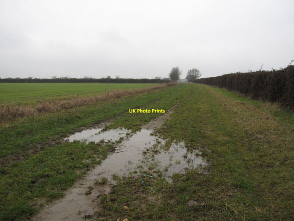 Photo 6"x4" Byway to Witcham Wentworth\/TL4778 c2010