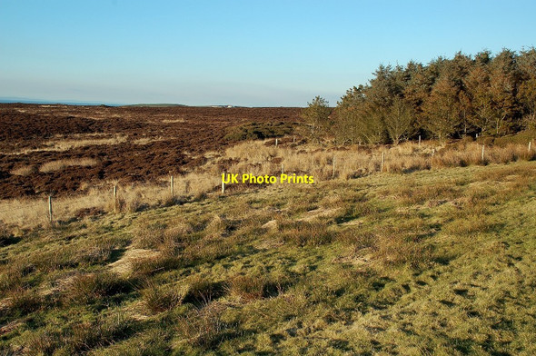 Photo 6"x4" Galdenoch Moor Galdenoch Burn c2010