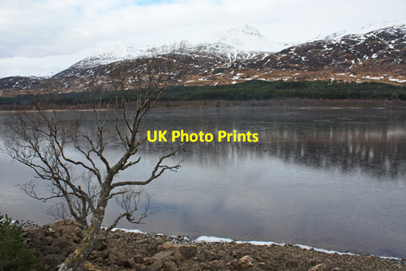 Photo 6"x4" Loch Laggan Torgulbin c2010