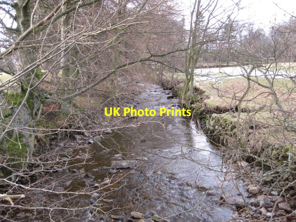 Photo 6"x4" Bowlee Beck, Teesdale Newbiggin\/NY9127 c2010