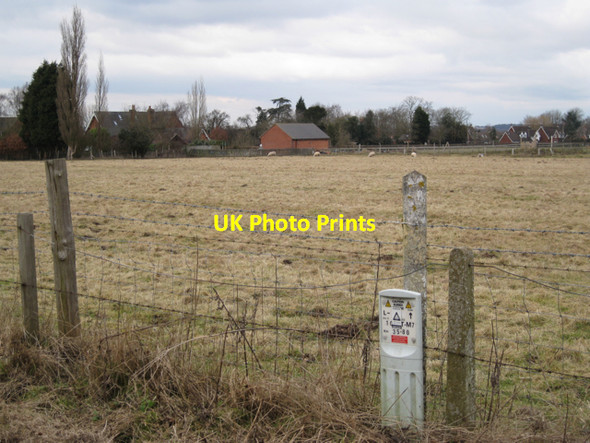 Photo 6"x4" Bubbenhall School beyond a field of sheep Bubbenhall c2010