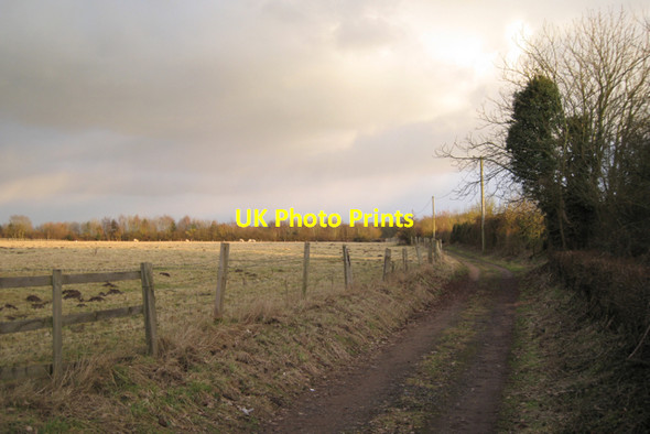 Photo 6"x4" Track to Bubbenhall Wood Bubbenhall c2010