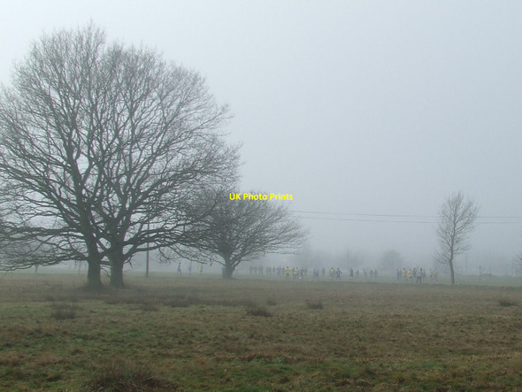 Photo 6"x4" Playing In The Mist The Marsh\/TM0877 c2010