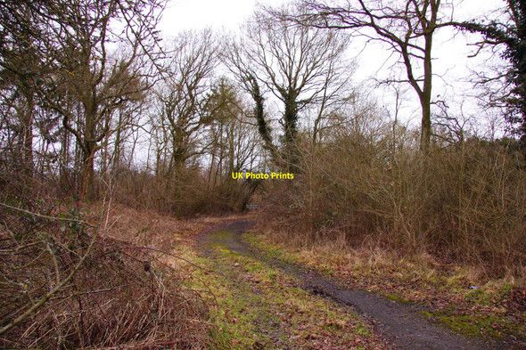 Photo 6"x4" Track in Hell Coppice Horton-cum-Studley c2010