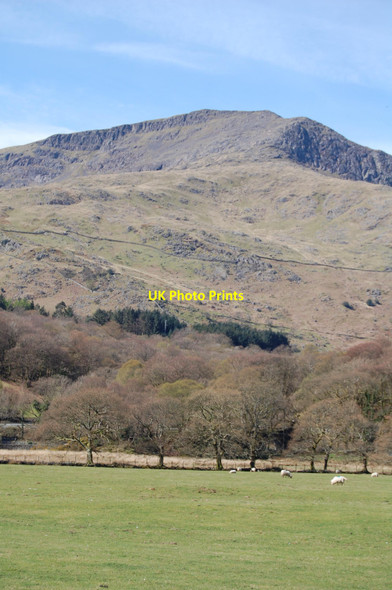 Photo 6"x4" Beddgelert : Moel Hebog from the meadows by the Afon Glaslyn Beddgelert c2009