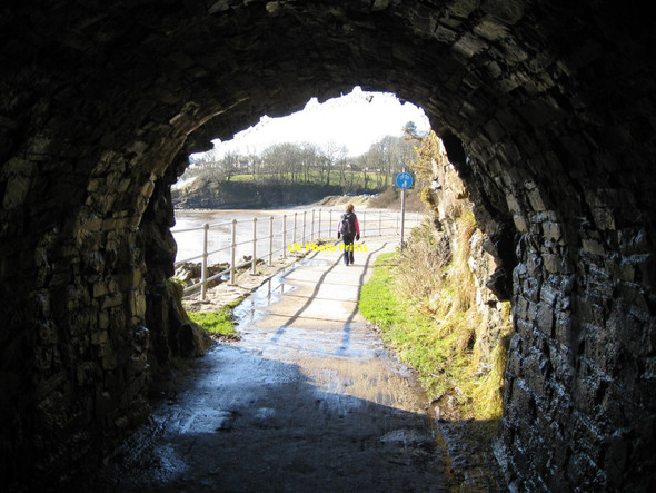 Photo 6"x4" Tunnel - a view out to Coppet Hall Churchton\/SN1305 c2010