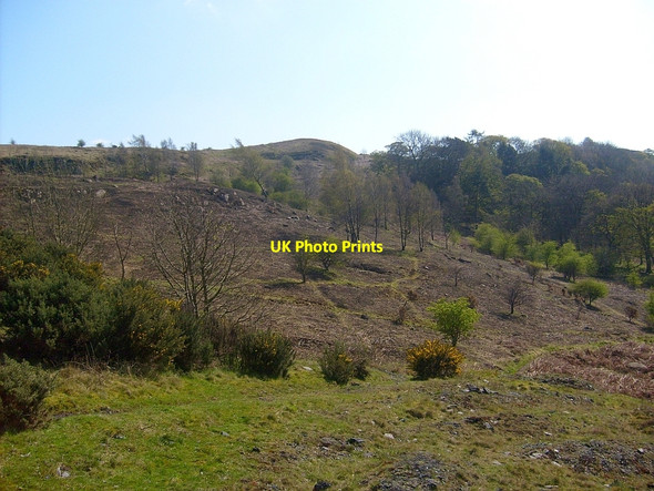 Photo 6"x4" Burnt slopes of Croy Hill Blackwood\/NS7274 c2009