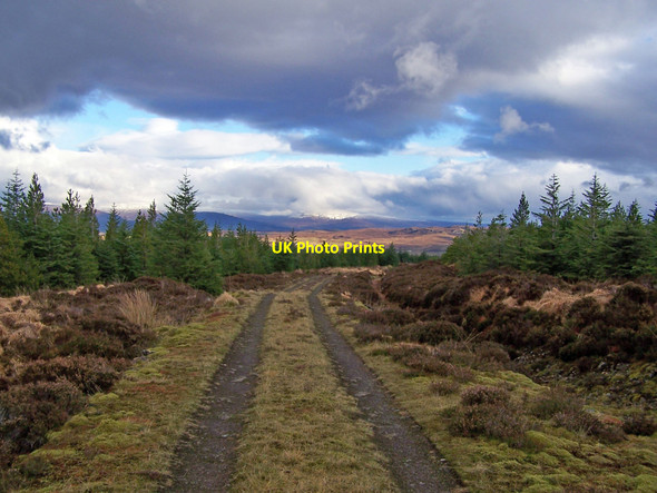 Photo 6"x4" Track through Greshornish Forest Bay\/NG2653 c2010