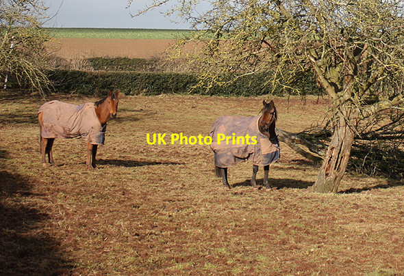 Photo 6"x4" Winter coats Bromsash c2010