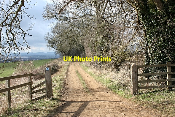 Photo 6"x4" Bridleway to Overbury Conderton c2010