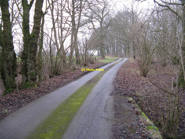 Photo 6"x4" Footpath and road to Violets Farm Park Street\/TQ1131 c2010