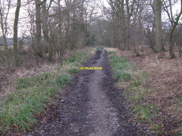 Photo 6"x4" Bridleway to Slinfold Park Street\/TQ1131 c2010