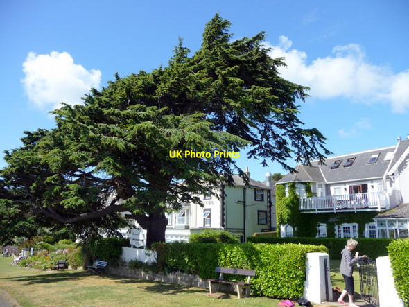 Photo 6"x4" Keats Green, Shanklin, Isle of Wight Shanklin c2009 P1