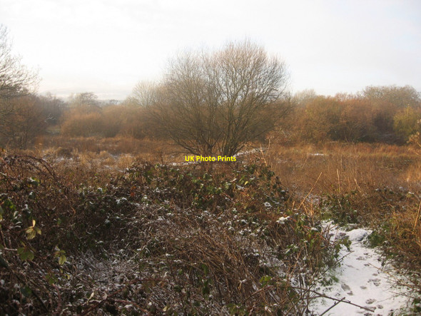 Photo 6"x4" Frosty Fields Newport\/Casnewydd c2010