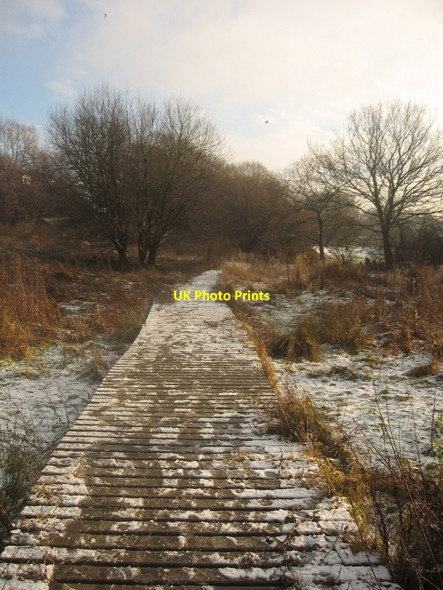 Photo 6"x4" Snow on the Walkway Newport\/Casnewydd c2010