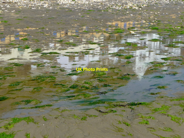 Photo 6"x4" Seaweed and pools, Shanklin, Isle of Wight Shanklin c2009